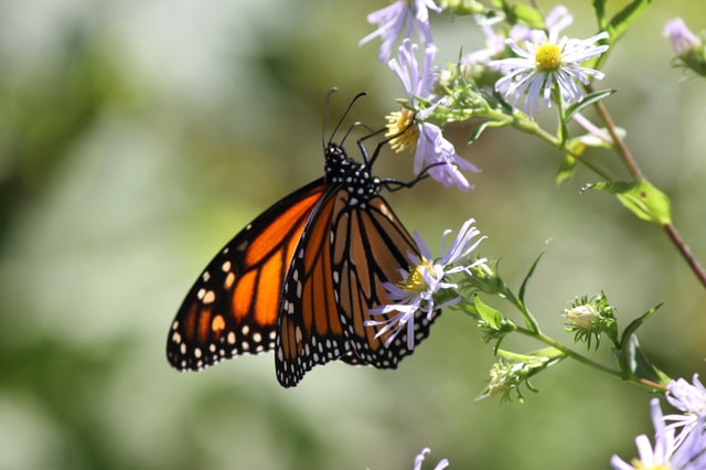 matthew-bargh-h-ca-lst_mg-unsplash